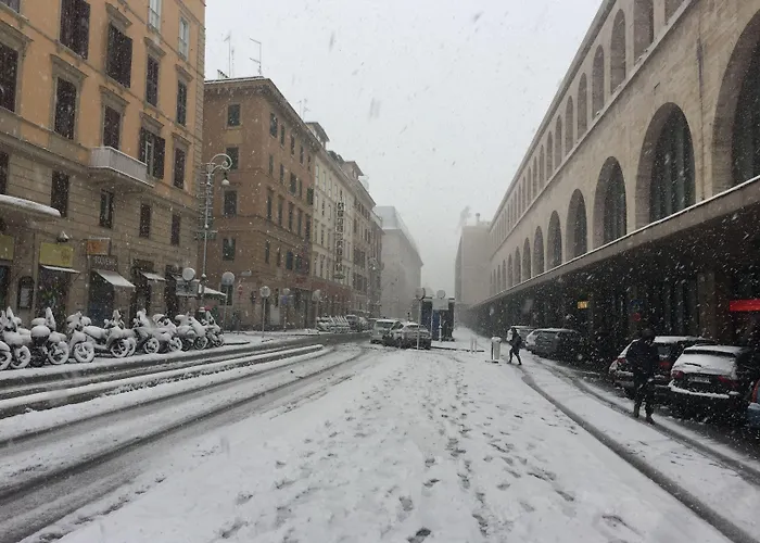 ゴールデン レイシオ ゲストハウス